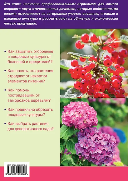 Богатый урожай. Советы агронома - фото 2