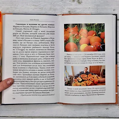 Тыква. Выращиваем, ухаживаем и едим - фото 12