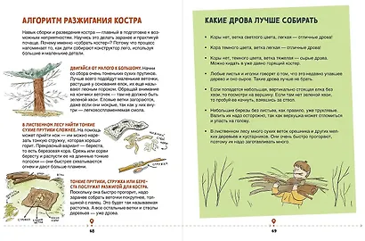 Зажигалка, компас, нож. Навыки выживания в лесу для детей - фото 6