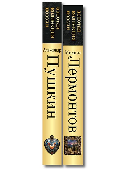 Комплект Два гения русской поэзии (из 2-х книг Пушкин и Лермонтов) - фото 8