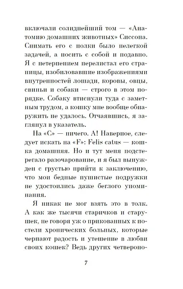 Кошачьи истории - фото 9