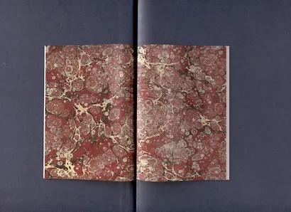 Бедная Лиза. Подробный иллюстрированный комментарий - фото 3