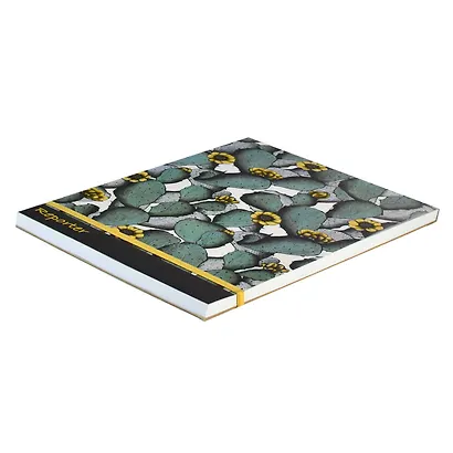 Книга для записей А5+ 100л тчк. "КАКТУСЫ" застёжка-резинка, обложка мел.картон 190г/м2 - фото 2