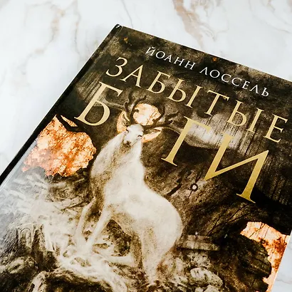 Забытые боги - фото 7