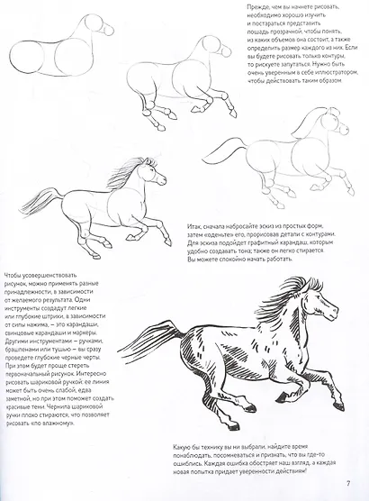 Создаем наброски лошадей шаг за шагом. 50 проектов с подробными объяснениями и рисунками (зеленая обложка) - фото 3