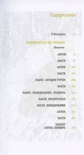 Исключение из правил. Повесть - фото 2