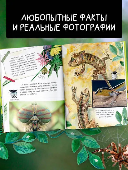 Кто как видит? - фото 6