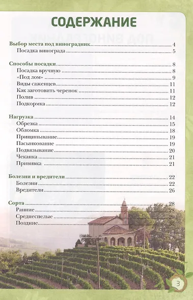 Виноград. Урожайная лоза (нов.оф) - фото 4