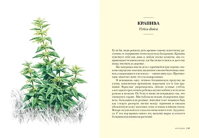 Наедине с природой. Комплект из 3-х книг с шоппером - фото 11