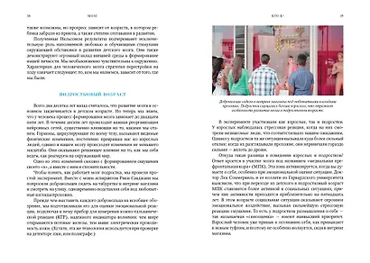 Мозг. Ваша личная история - фото 3