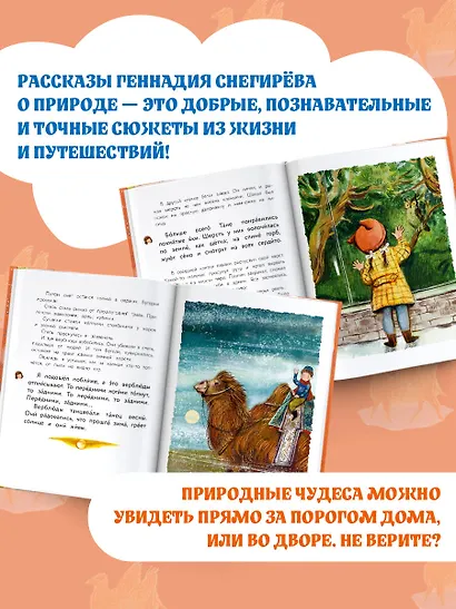 Верблюжья варежка - фото 5