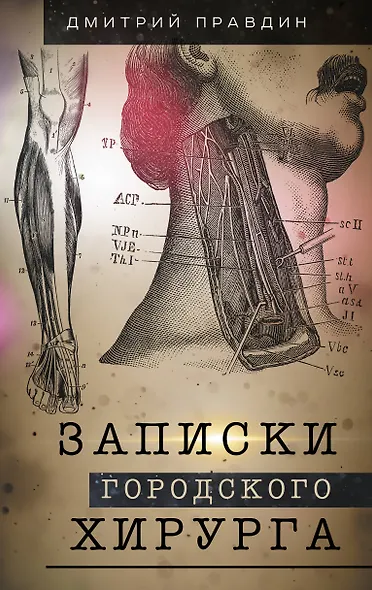 Записки городского хирурга - фото 1