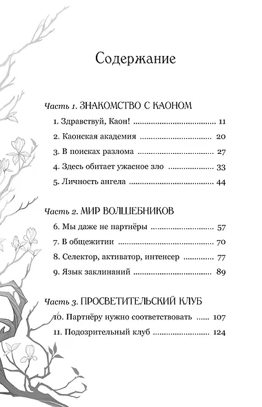Маги Каона. Академия между мирами - фото 3