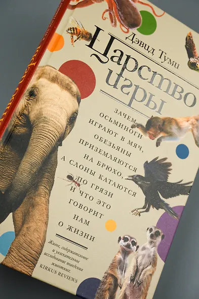 Царство игры - фото 6