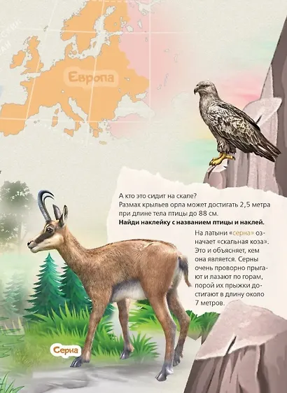 Животные на континентах. Книжка с многоразовыми наклейками - фото 4