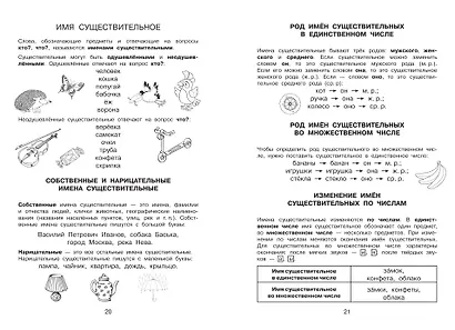 Все правила в картинках. Русский язык и математика - фото 9