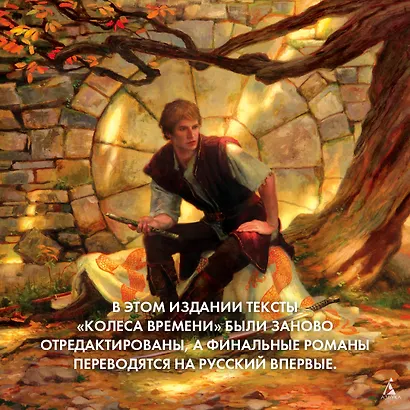 Колесо Времени. Книга 1. Око Мира - фото 9