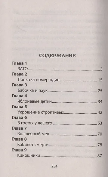Солнце в закрытом городе - фото 2