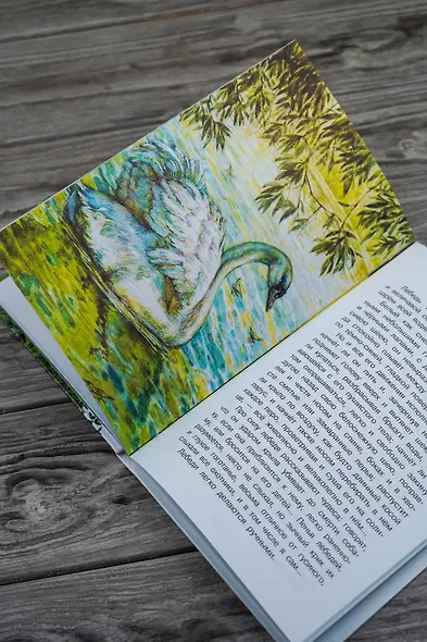 Рассказы о природе - фото 10