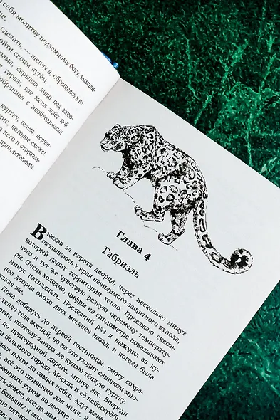 Дэурумы. Принц Чернобога - фото 5