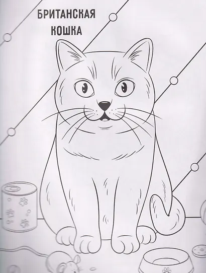 Котики: книжка-раскраска - фото 2