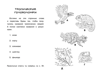 Прятки в джунглях - фото 7