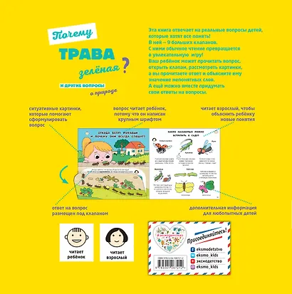 Почему трава зелёная? И другие вопросы о природе - фото 2
