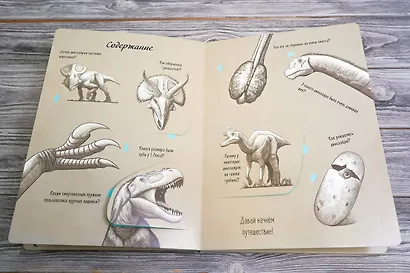 В мире динозавров. Книжка с окошками - фото 4