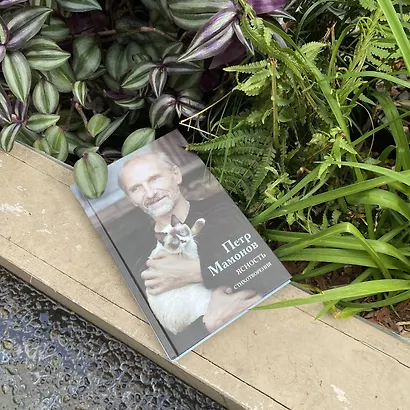 Ясность - фото 5