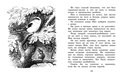Лесные сказки и рассказы (иллюстр. Е. Рачёва) - фото 6