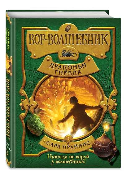 Вор-волшебник. Драконьи гнёзда (#3) - фото 3