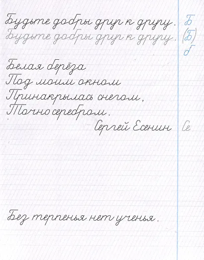 Тренажер по чистописанию. Шаг 3. Учимся писать предложения и тексты - фото 3