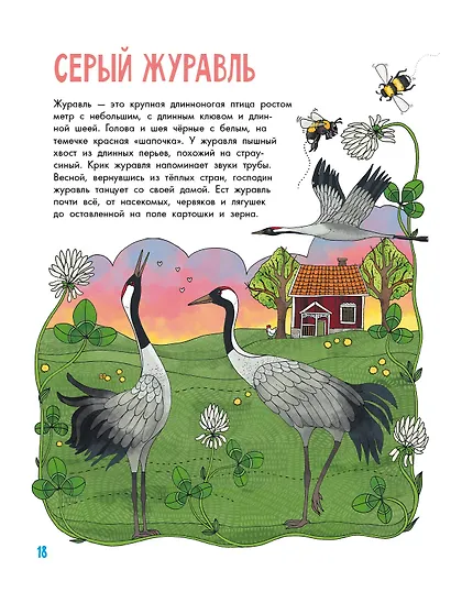 Птицы - фото 6