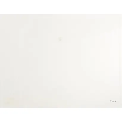 Папка-конверт на кнопке, А3 - фото 7