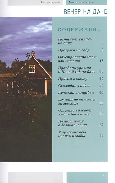 Моя чудесная дача Том 30 Вечер на даче - фото 2
