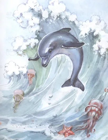 Дельфиненок и чайка - фото 3