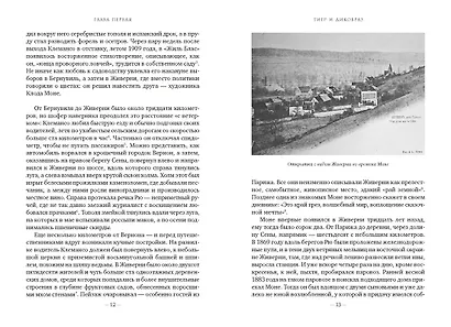 Чарующее безумие. Клод Моне и водяные лилии - фото 11