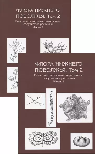 Флора Нижнего Поволжья. Том 2. В друх частях (комплект из 2 книг) - фото 1