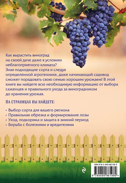 Виноград. Урожайная лоза (нов.оф) - фото 2
