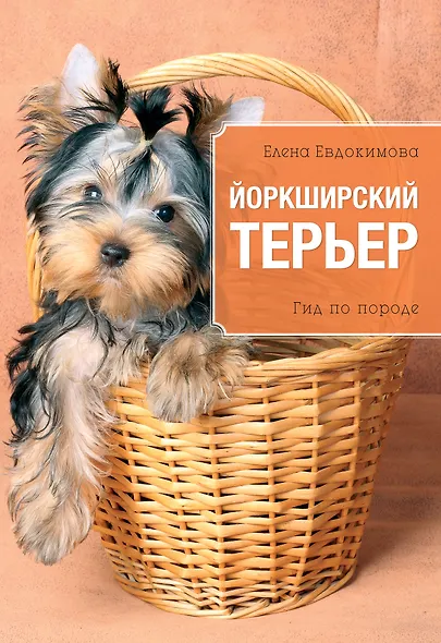 Йоркширский терьер - фото 1