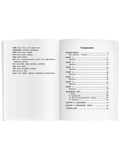 Укротители драконов/The Drakon Tamers.  Домашнее чтение с заданиями по ФГОС. Английский клуб - фото 4