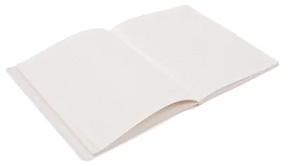 Тетрадь в клетку "Коты. Павлик и Валера", 80 листов - фото 4