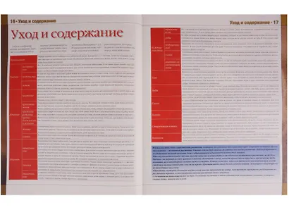 Кошки Новая иллюстрированная энциклопедия (илл. Волынца) Волкова - фото 4