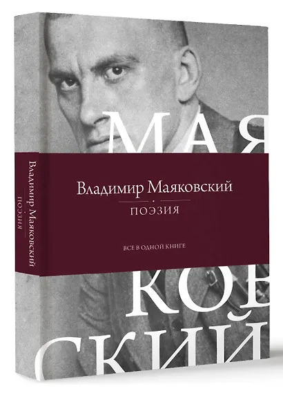 Поэзия. Все в одной книге - фото 3