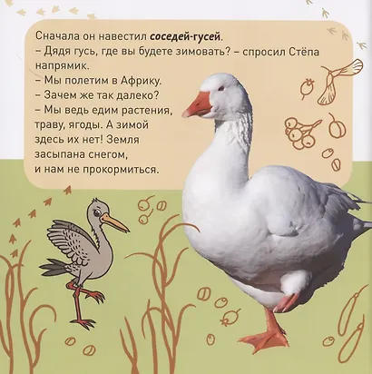 Кто как зимует? - фото 4