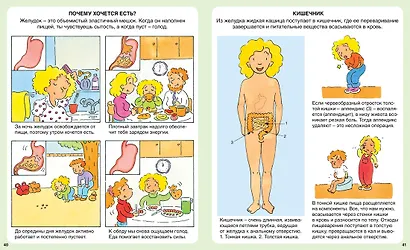Тело человека - фото 7