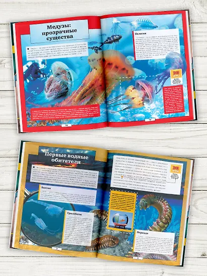 Подводный мир - фото 3