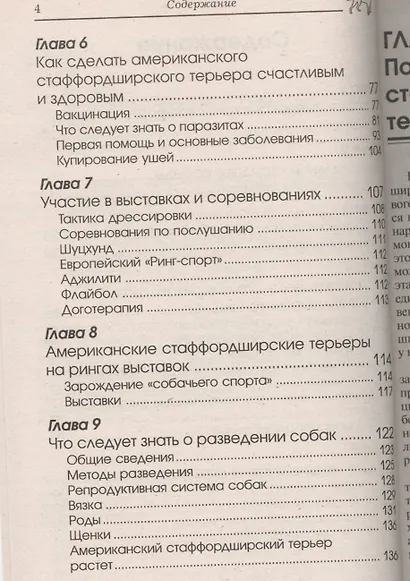 Американский стаффордширский терьер. сила и мужество. - фото 3