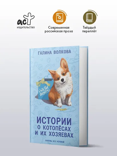 Истории о котопёсах и их хозяевах: рассказы - фото 3