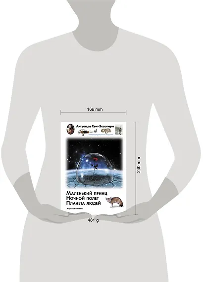 Маленький принц. Ночный полет. Планета людей - фото 3